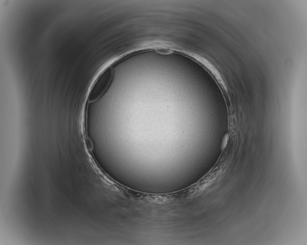 X0000116600815200912181145