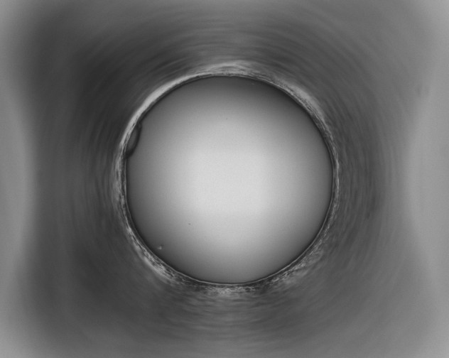 X0000116600816200912181145