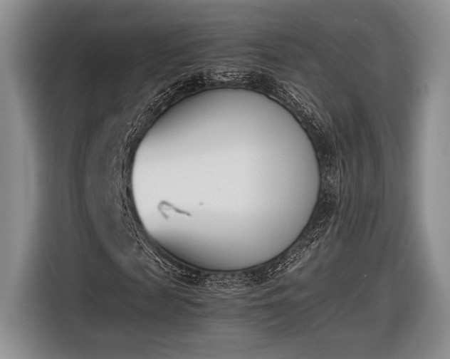 X0000116600817200912181144