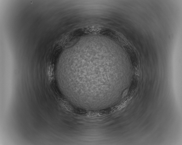 X0000116600818200912181144