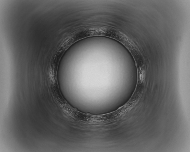 X0000116600819200912181144