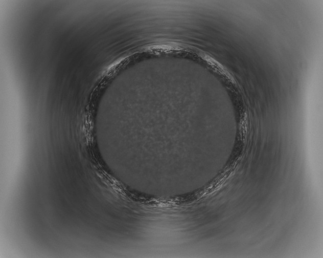 X0000116600822200912181144