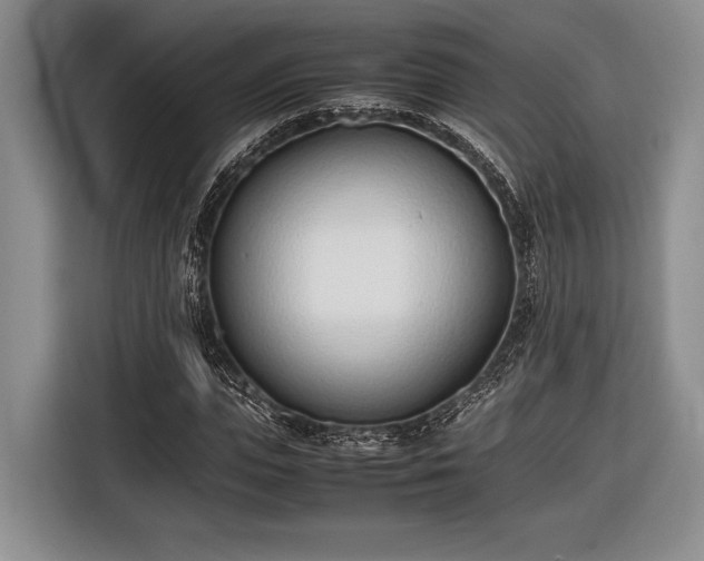 X0000116600823200912181144