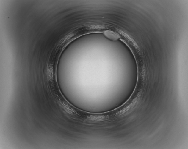 X0000116600825200912181144