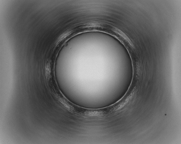 X0000116600826200912181144