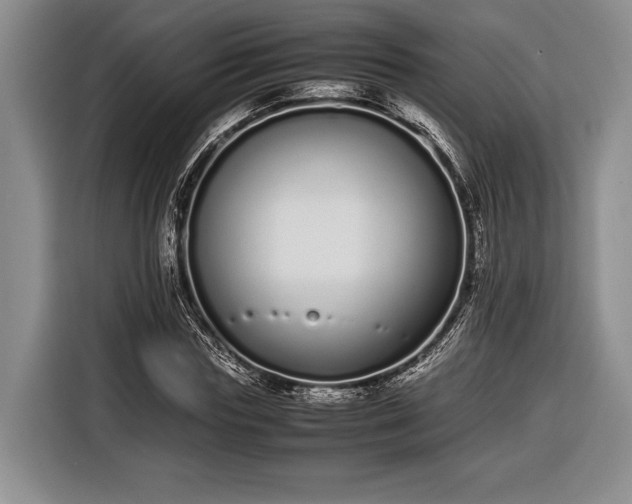 X0000116600827200912181144