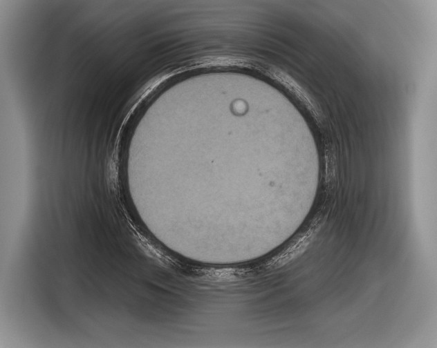 X0000116600828200912181144