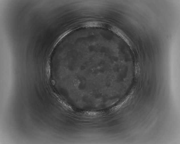 X0000116600829200912181144