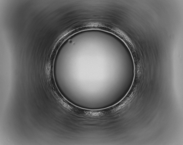 X0000116600831200912181144