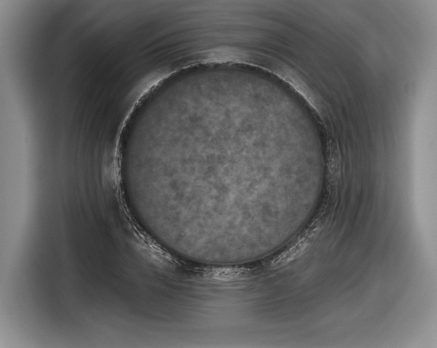 X0000116600832200912181144