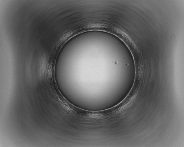 X0000116600833200912181144
