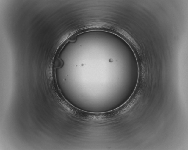X0000116600834200912181144