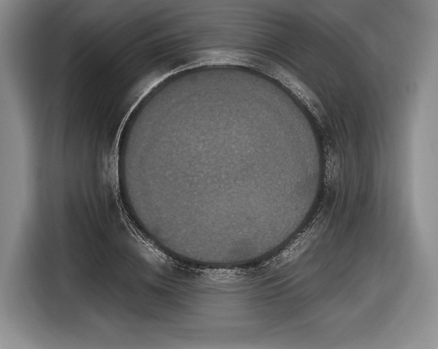 X0000116600836200912181144