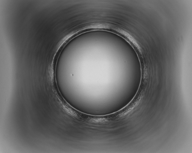 X0000116600837200912181144