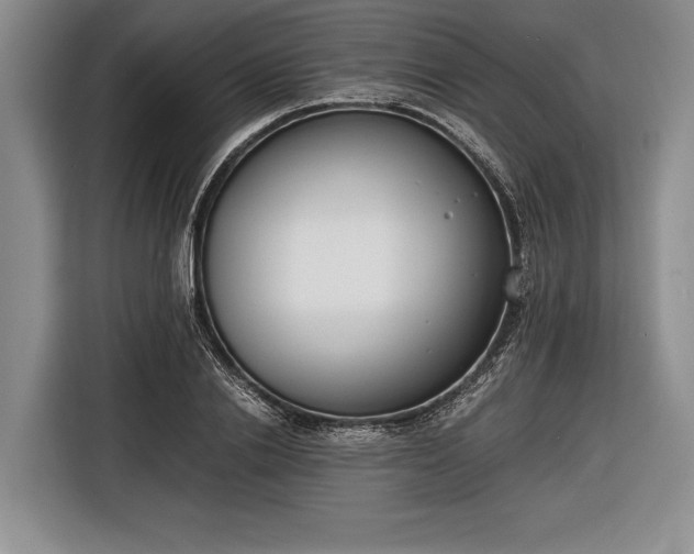 X0000116600838200912181144