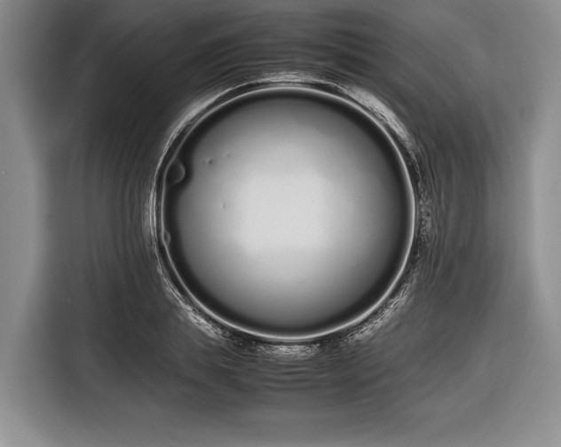 X0000116600839200912181144
