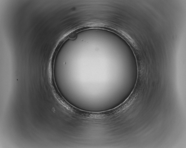 X0000116600840200912181144