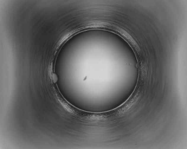 X0000116600842200912181144