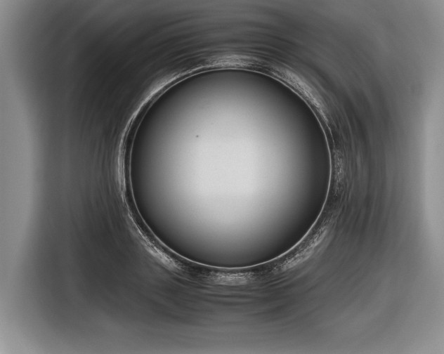 X0000116600843200912181144