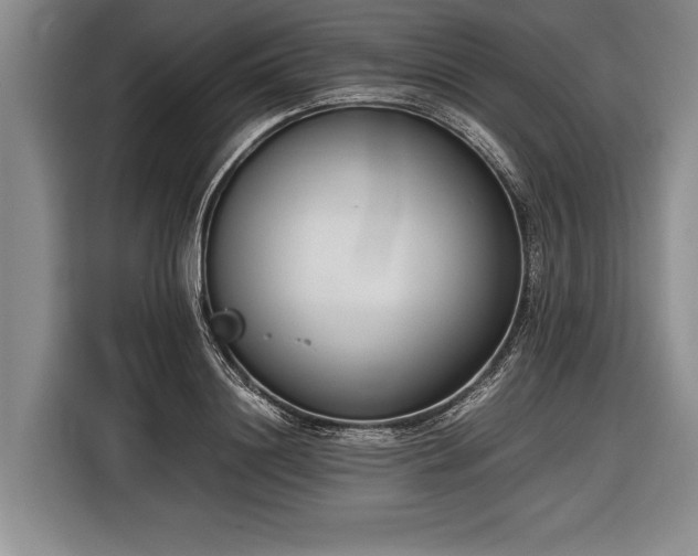 X0000116600844200912181144