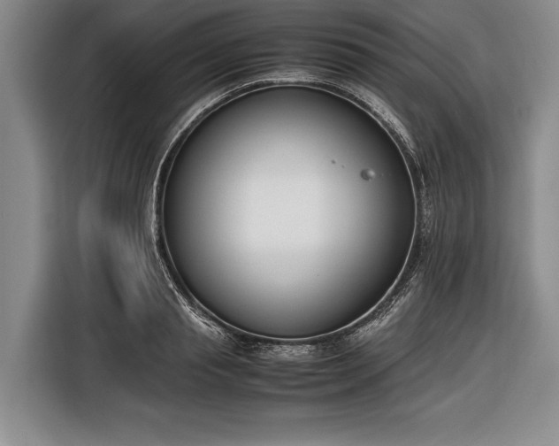 X0000116600845200912181144