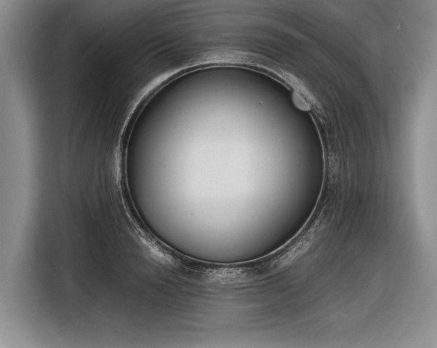 X0000116600846200912181144