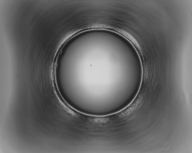 X0000116600847200912181144