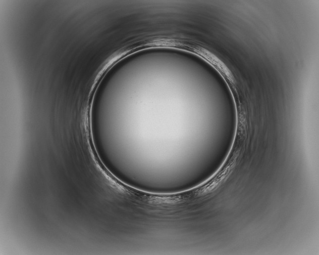 X0000116600855200912181144