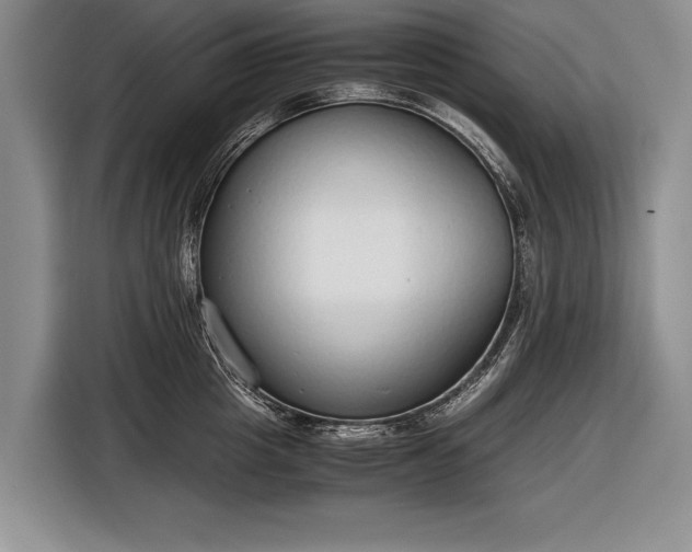 X0000116600857200912181145