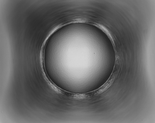 X0000116600859200912181145