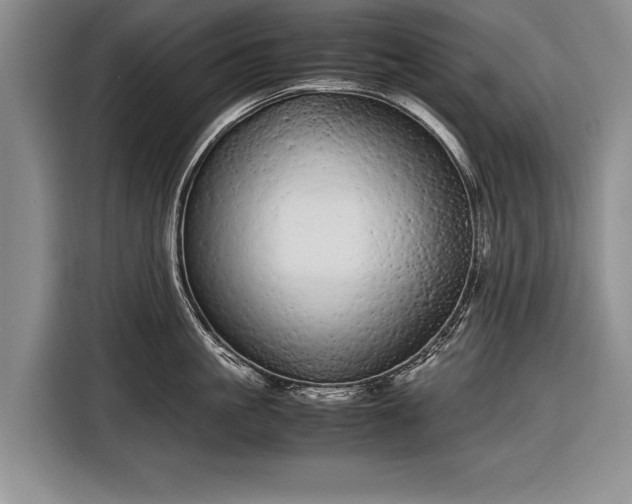 X0000116600861200912181145