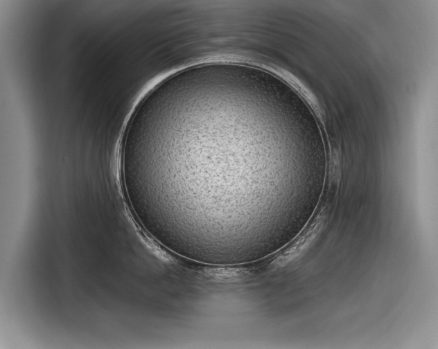 X0000116600862200912181145
