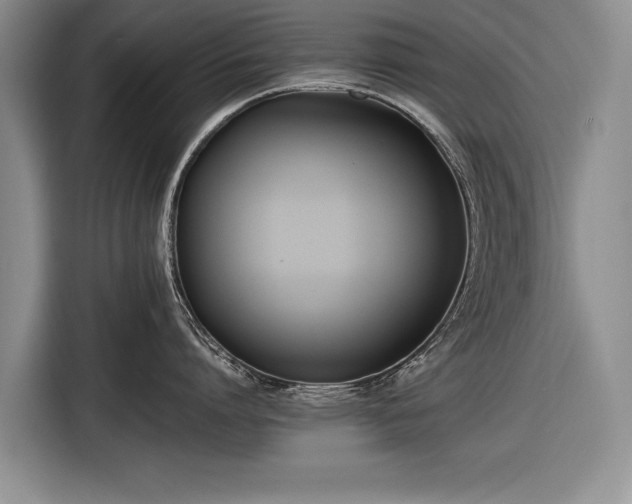 X0000116600864200912181145