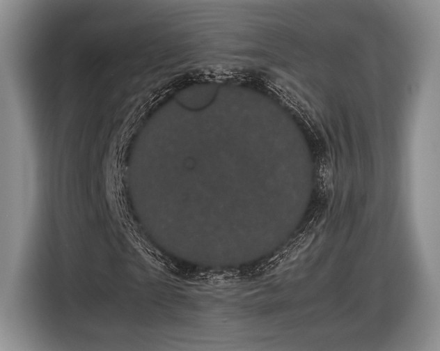 X0000116600865200912181144