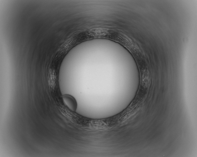 X0000116600866200912181144