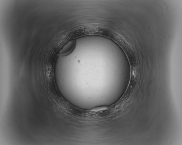 X0000116600867200912181144