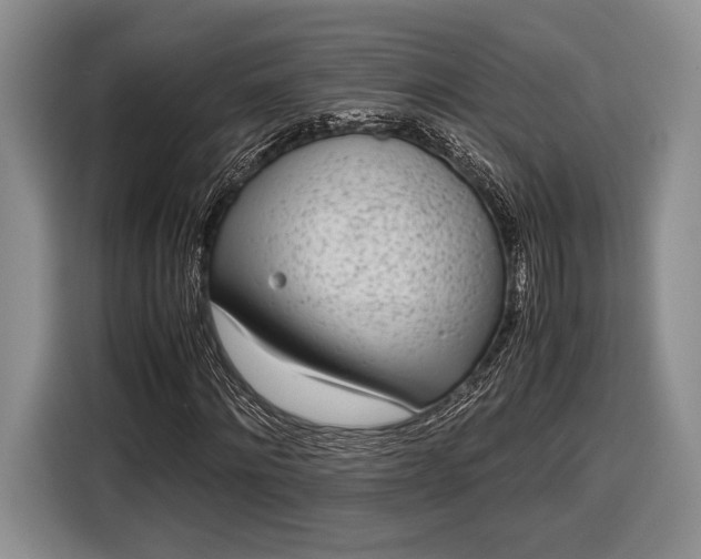 X0000116600868200912181144