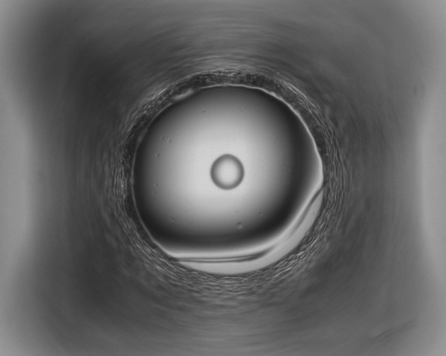 X0000116600869200912181144