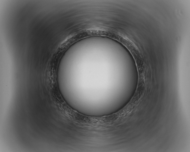 X0000116600870200912181144