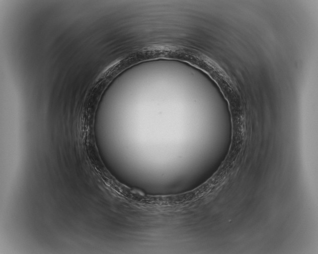 X0000116600872200912181144