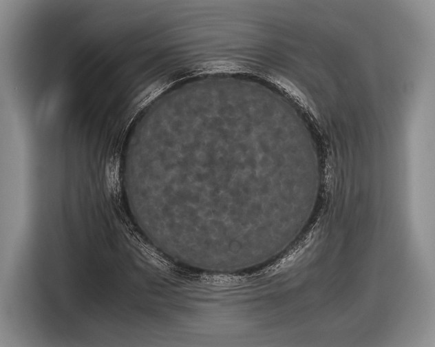 X0000116600873200912181144