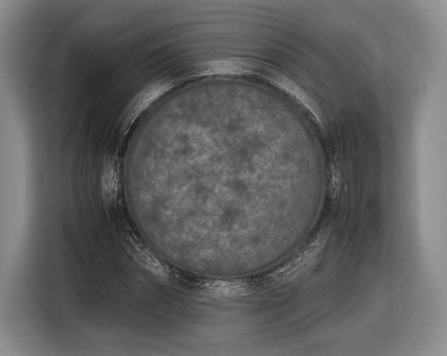 X0000116600874200912181144