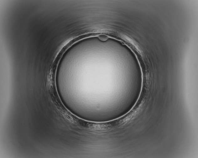 X0000116600875200912181144