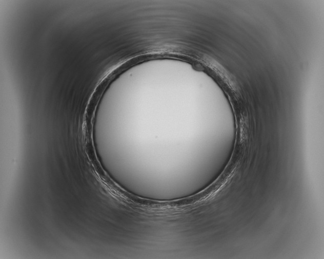 X0000116600876200912181144