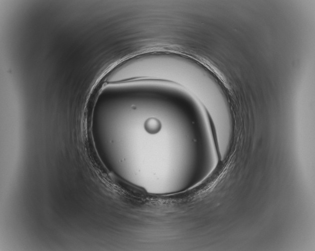 X0000116600877200912181144
