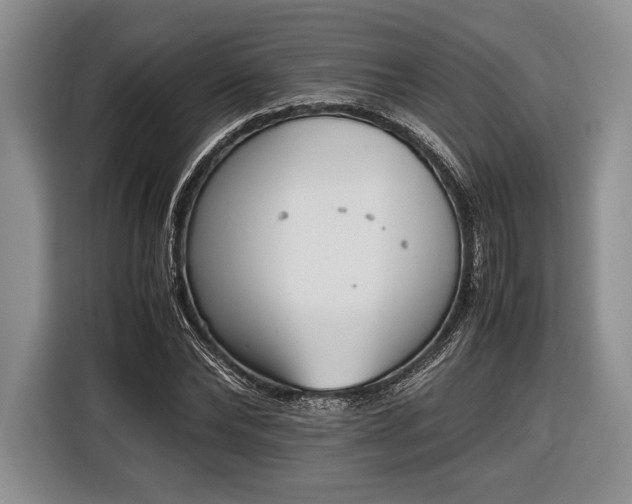 X0000116600878200912181144