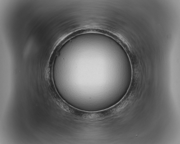 X0000116600879200912181144