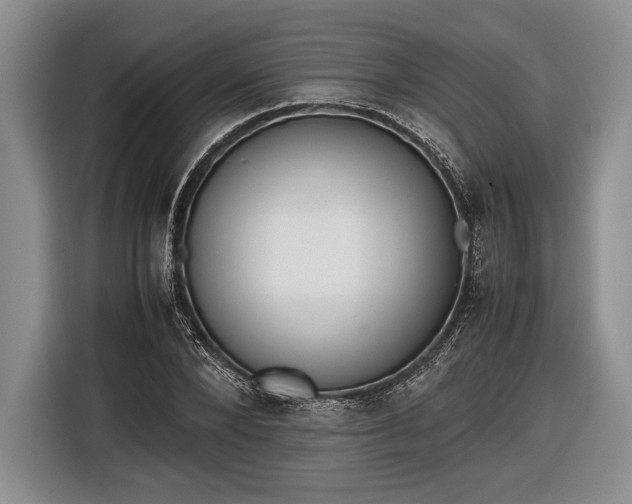 X0000116600880200912181144