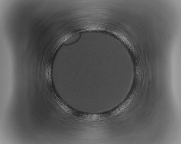 X0000116600881200912181144
