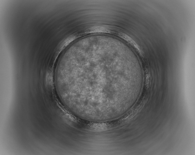 X0000116600882200912181144